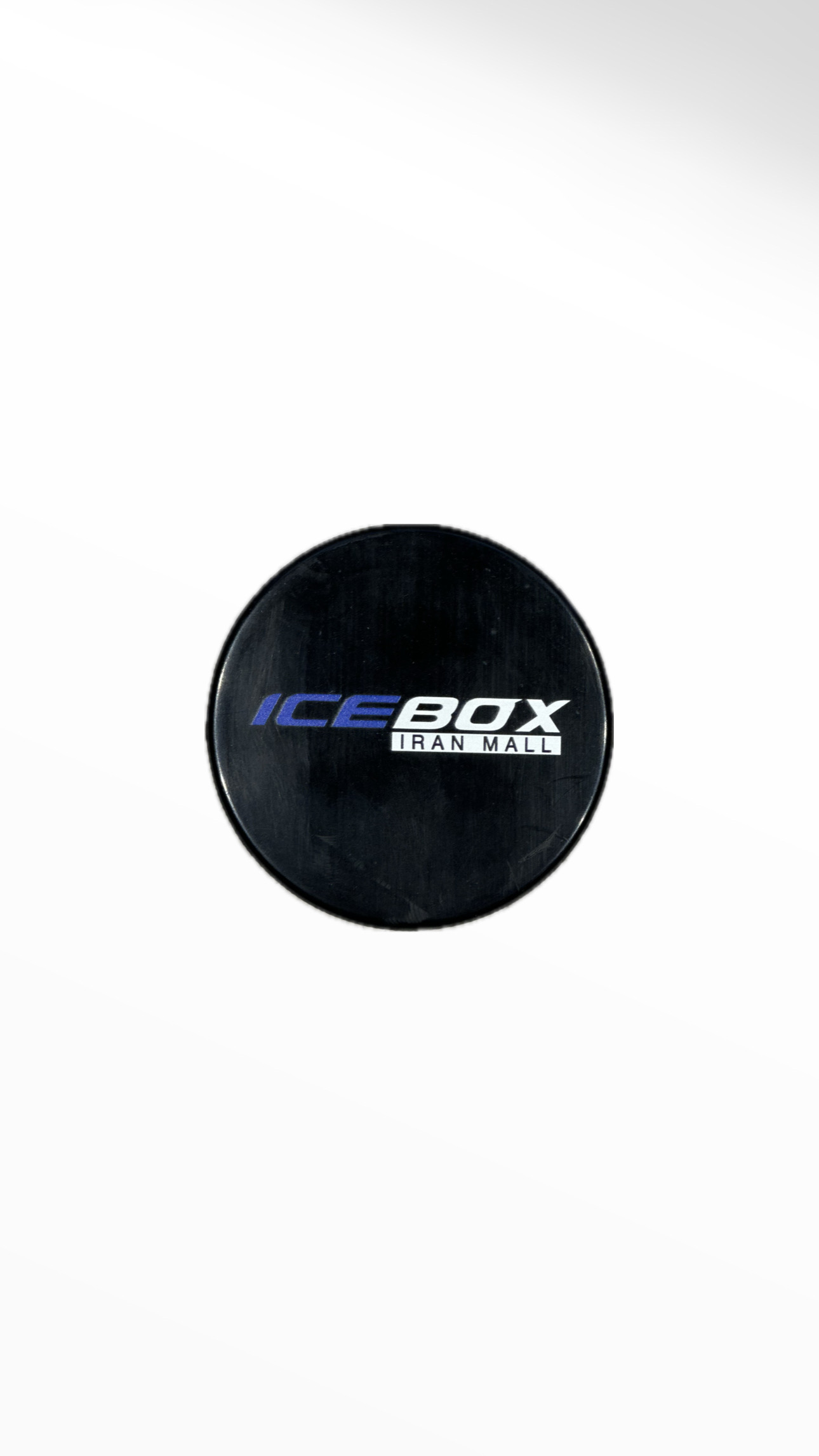 Hockey Puck
