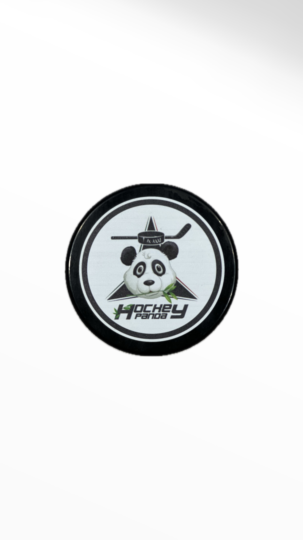 Hockey Puck